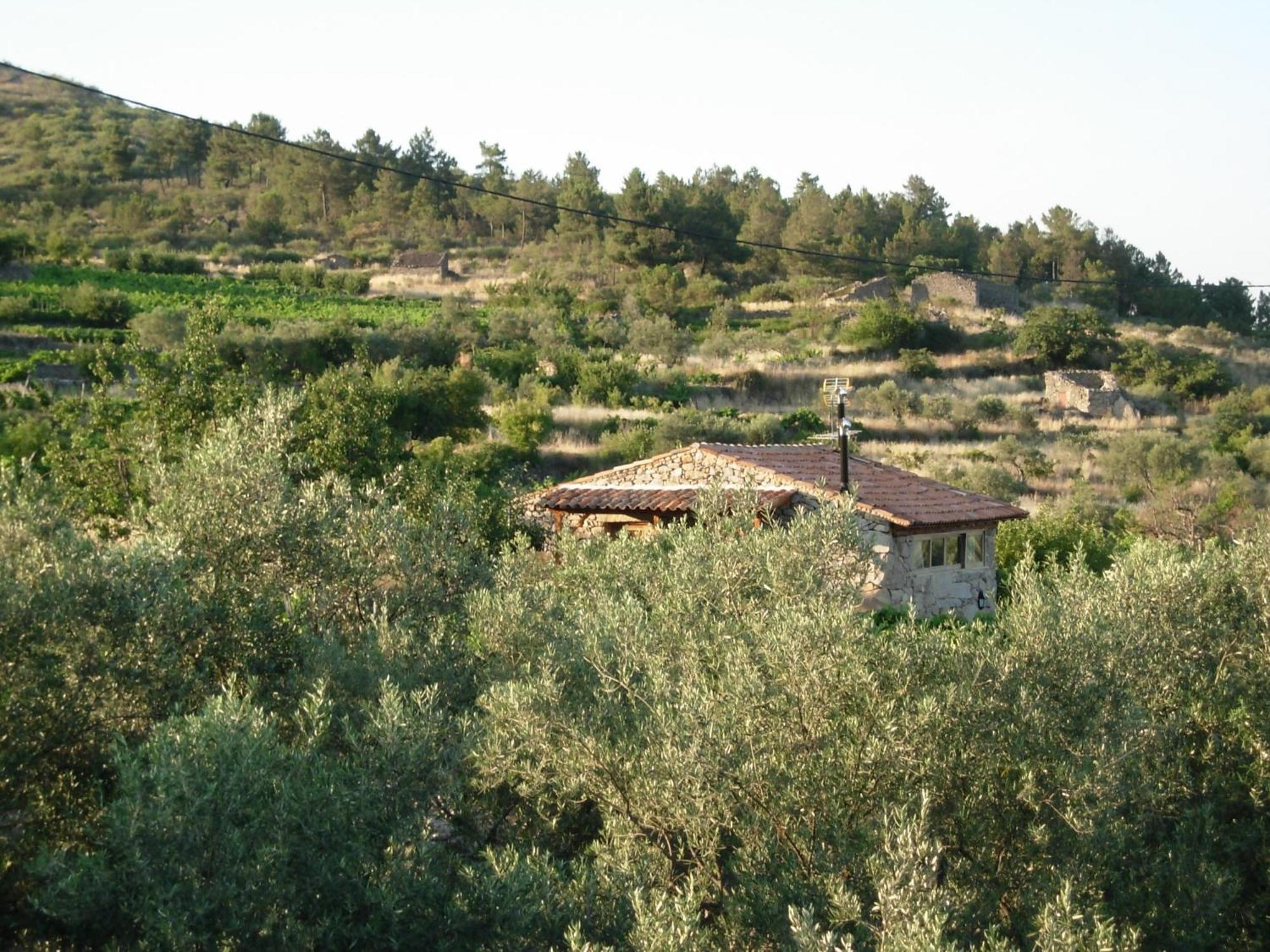 Outros Tempos Turismo De Aldeia Hotel Aricera Kültér fotó