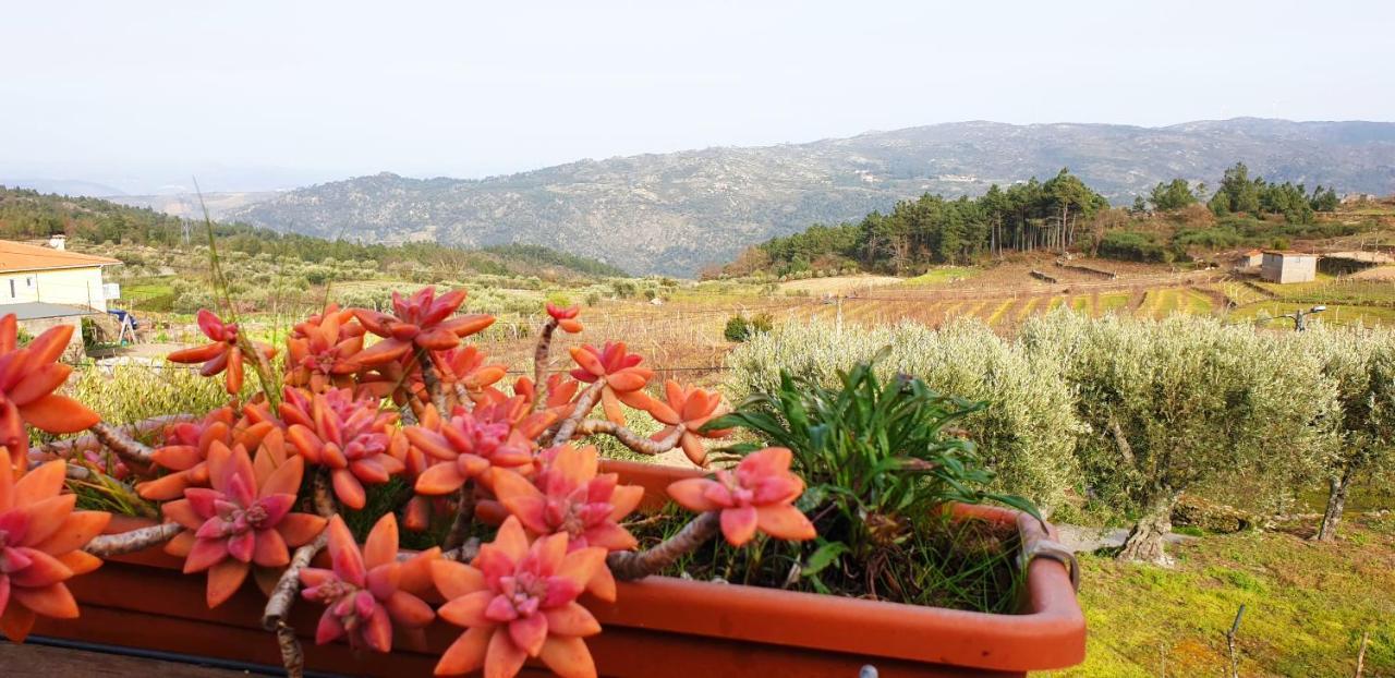 Outros Tempos - Turismo De Aldeia Hotel Aricera Kültér fotó